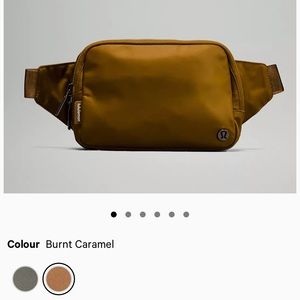 Everywhere Belt Bag Large